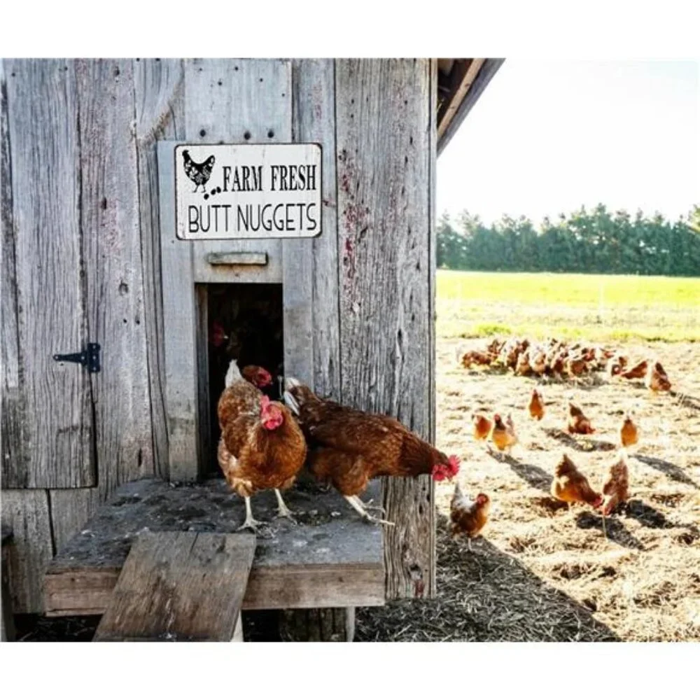 Funny Chicken Farm Fresh Butt Nuggets Tin Sign for Home Farm Chicken Coop